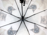 Зонт  женский Baolizi , арт.3024В-3_product